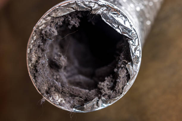 Best Professional Duct Cleaning Services  in Seatac, WA